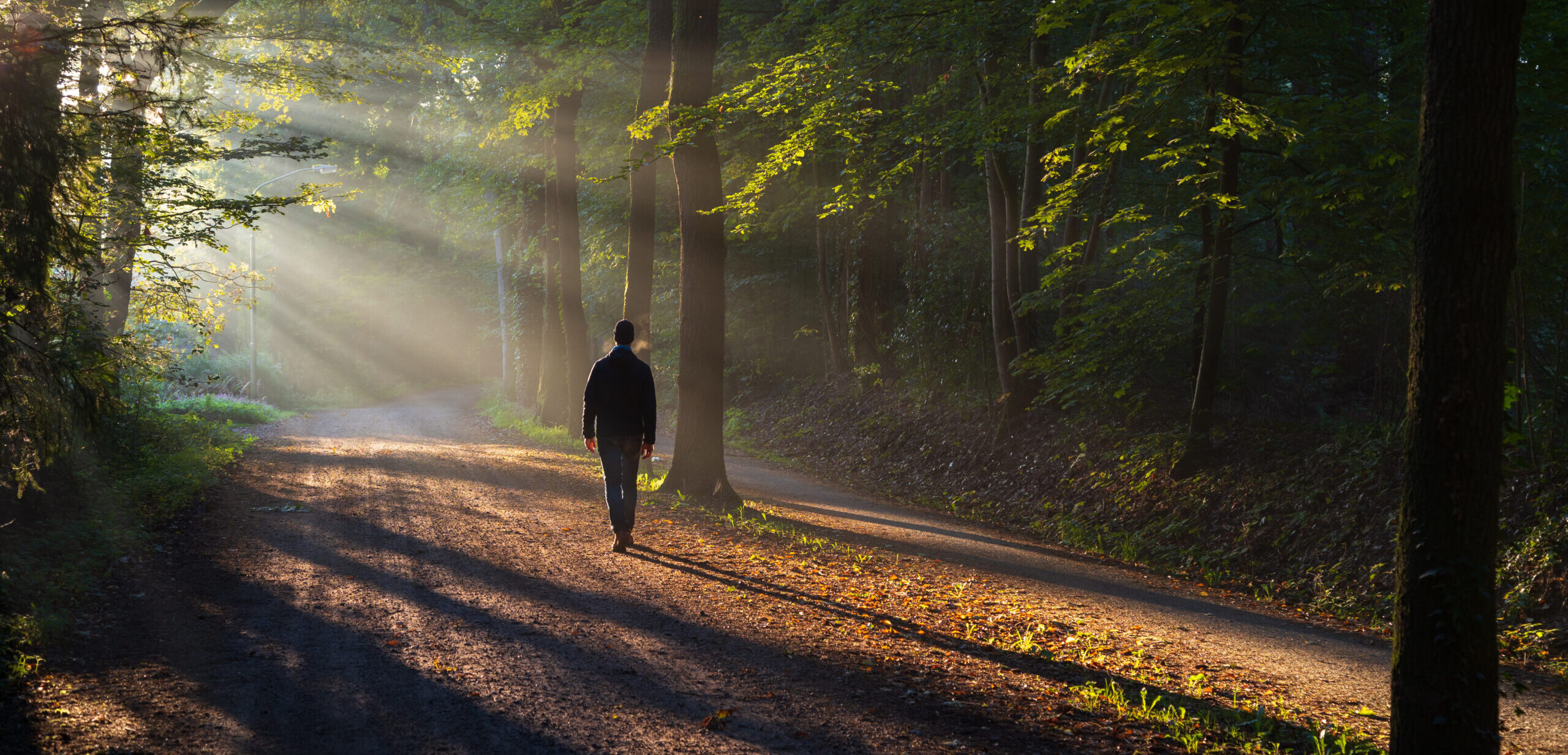 Man walking in a lane with the sunlight breaking through the trees.