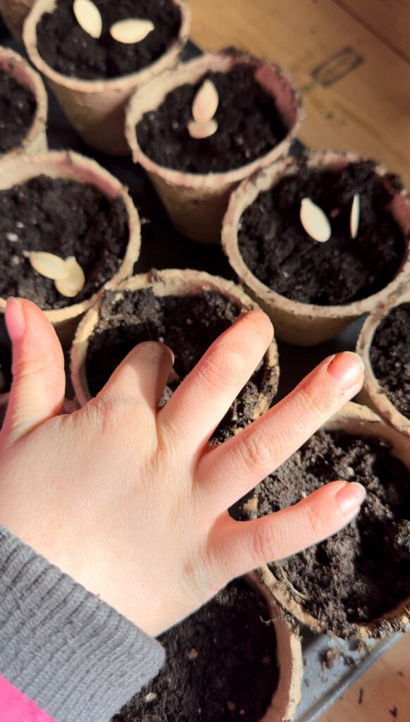 Little hands planting seeds in starter pots.