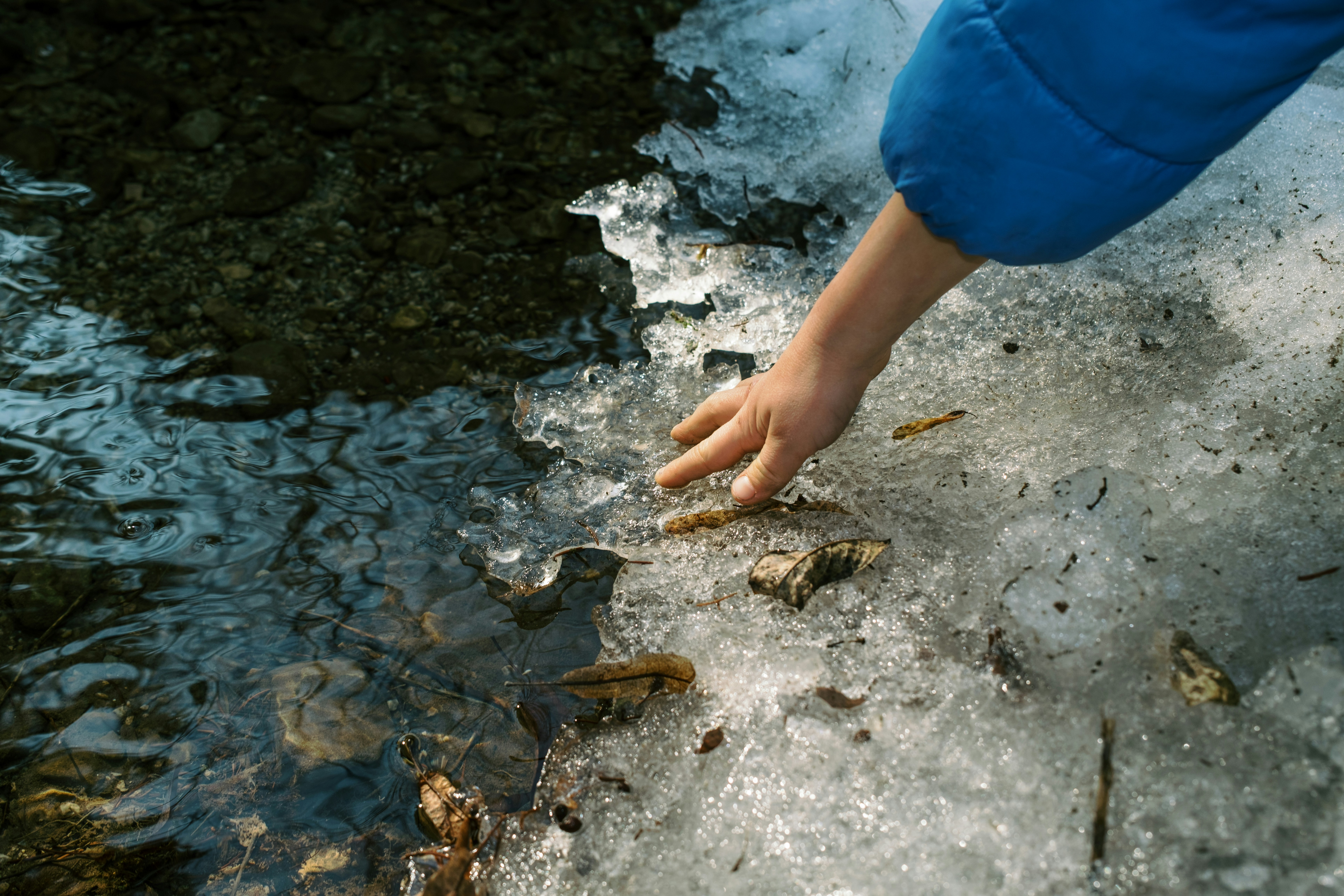 Hand touching melting ice over water